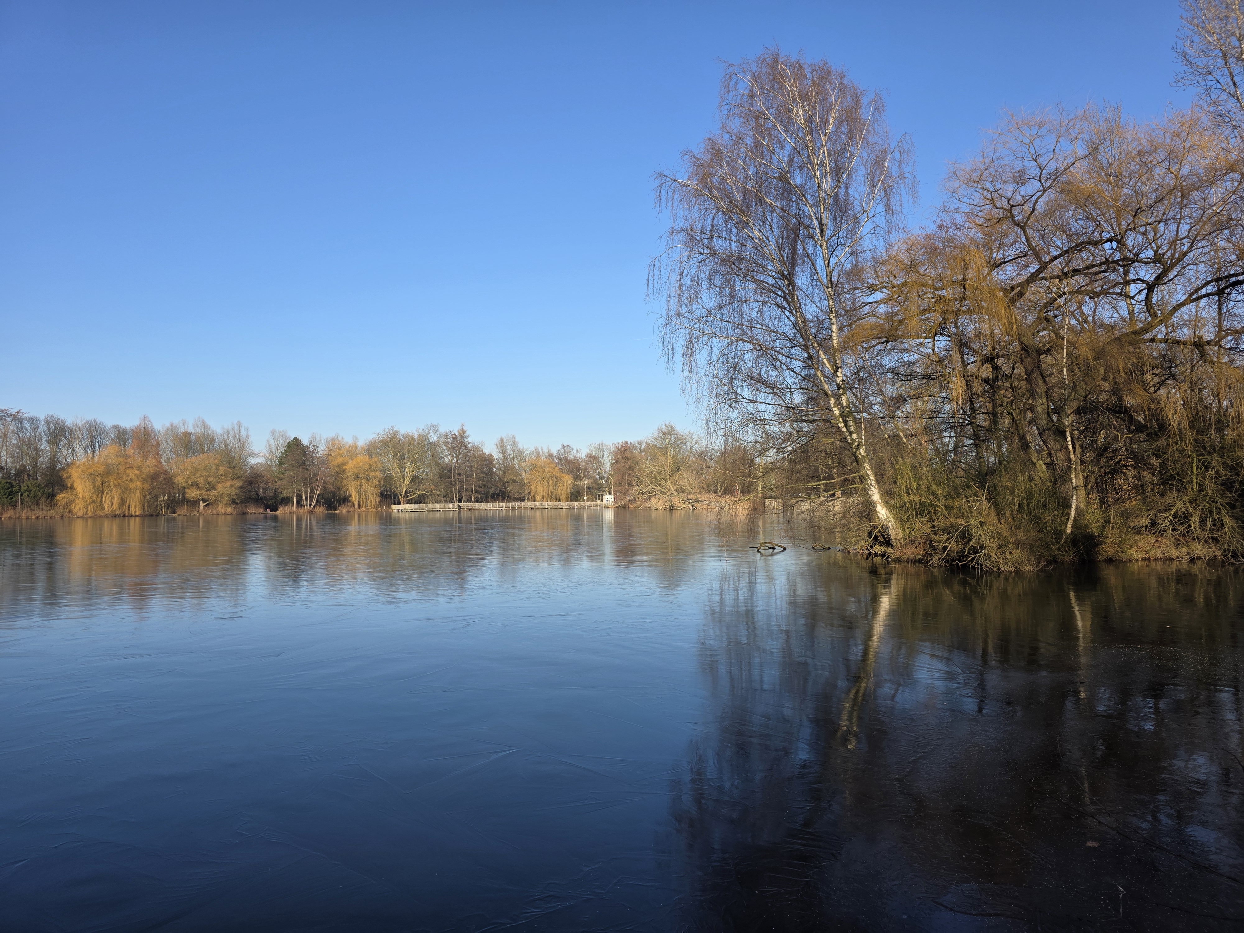 Impression vom Nordparkteich
